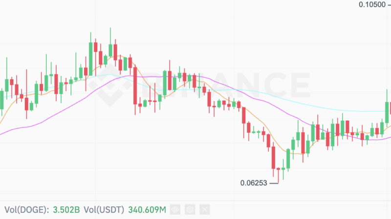 “صعود هائل لعملة أيلون ماسك المفضلة DOGECOIN